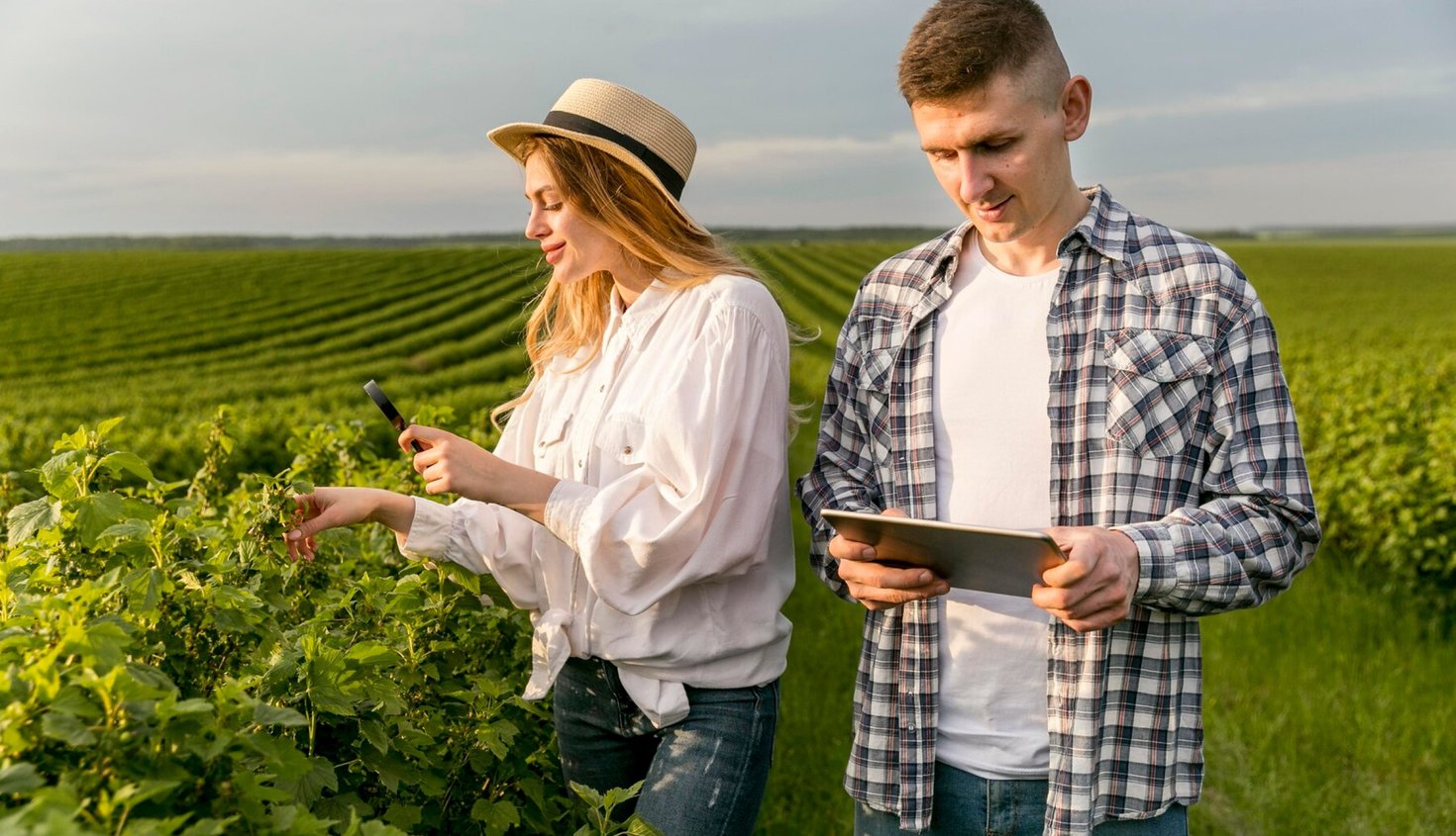 Smart Farming: How Technology Adds Value to Agriculture
